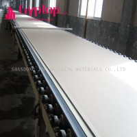 USG Quality Plasterboard/Gypsum Board /Moistureproof /Fireproof/Waterproof 9/9.5/12mm